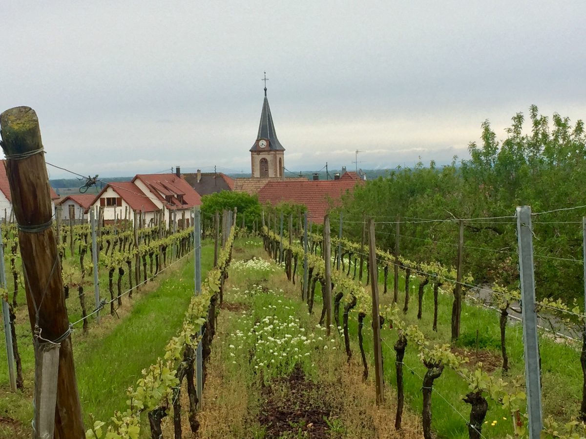 May 4, 2019    Riquewihr FR