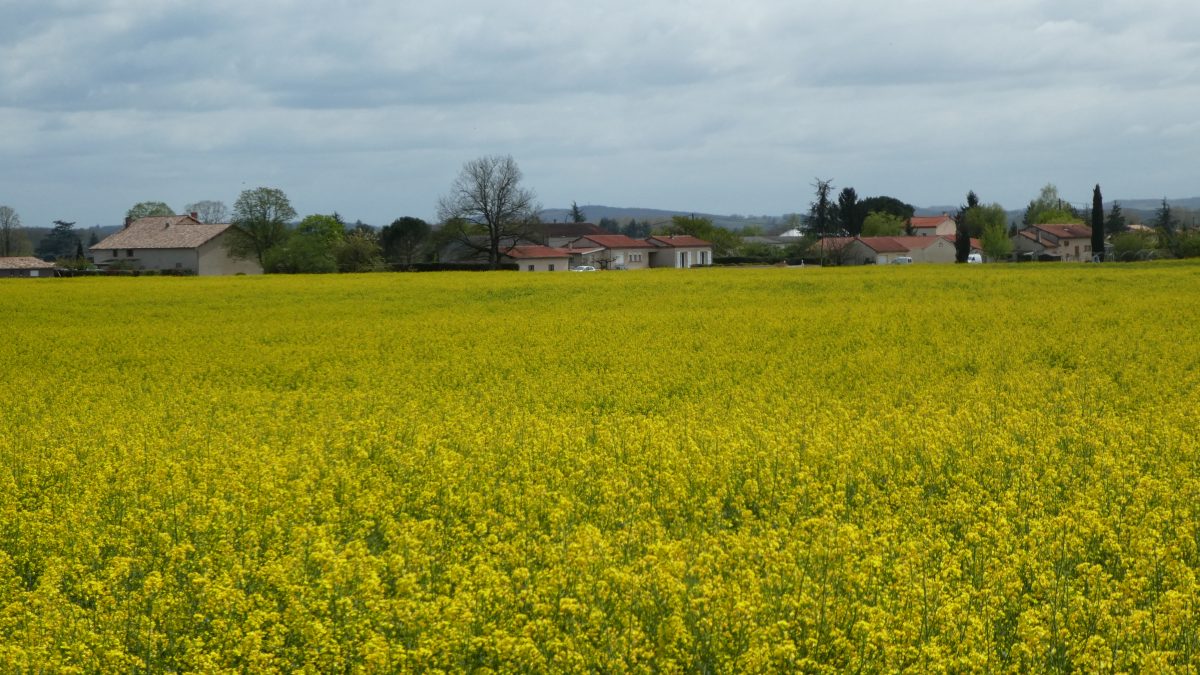 April 16, 2018     Rivieres FR