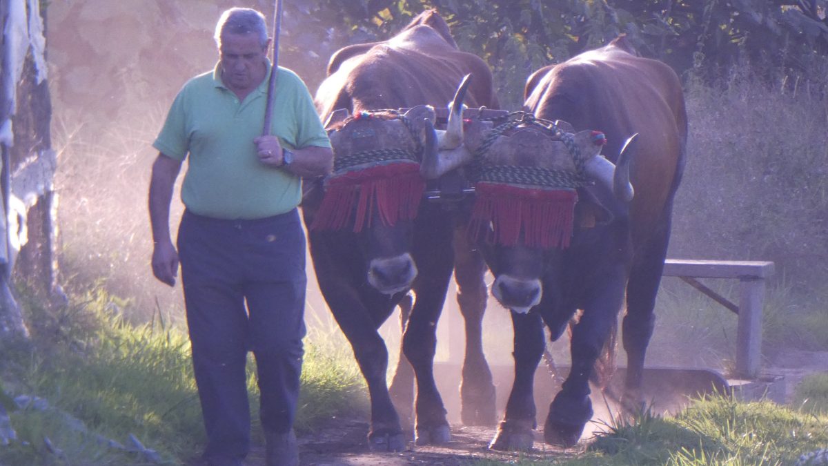 October 4, 2018       Orio SP