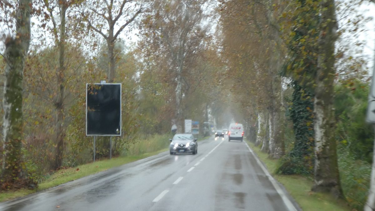 November 2, 2019 Venice IT