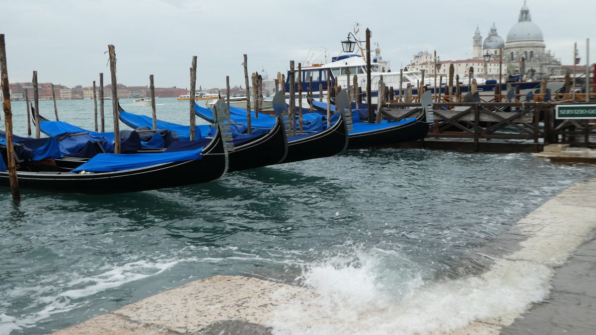 November 3, 2019 Venice IT