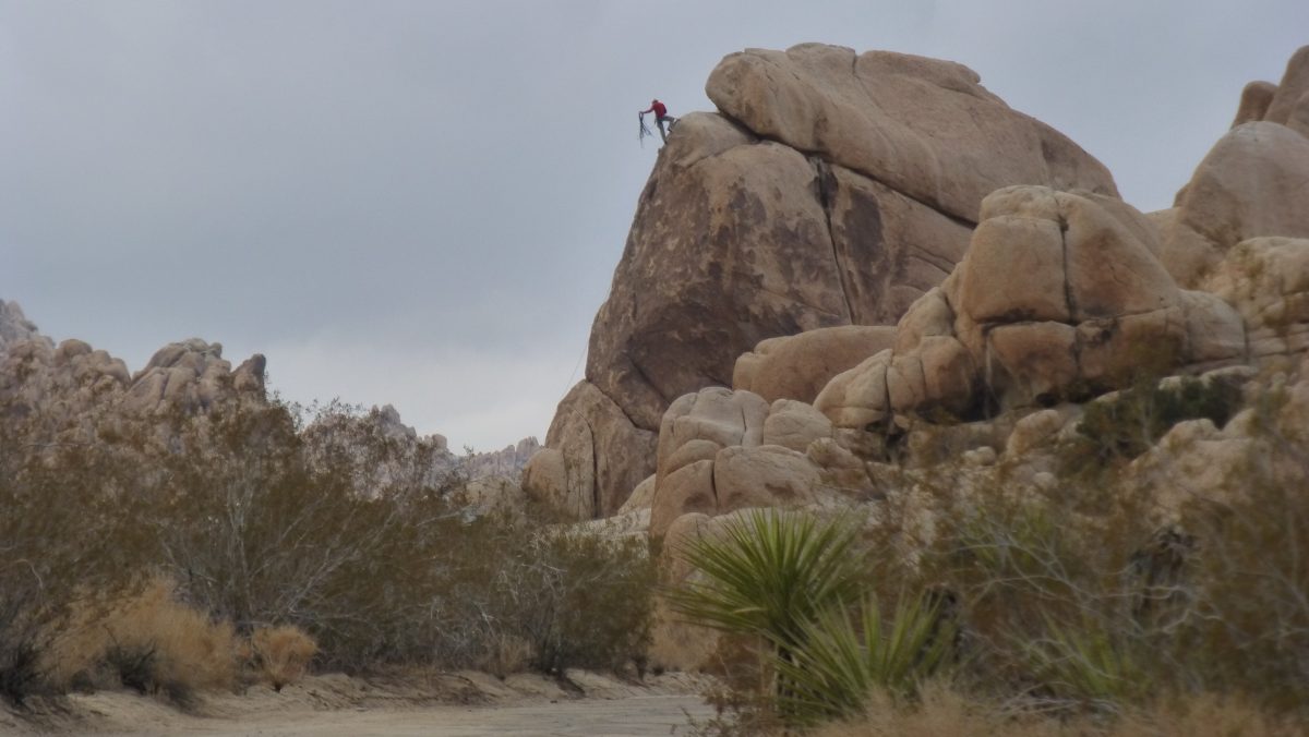 December 17, 2014 Joshua Tree NP