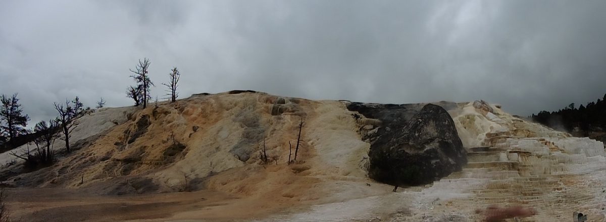 August 8, 2015 Yellowstone NP