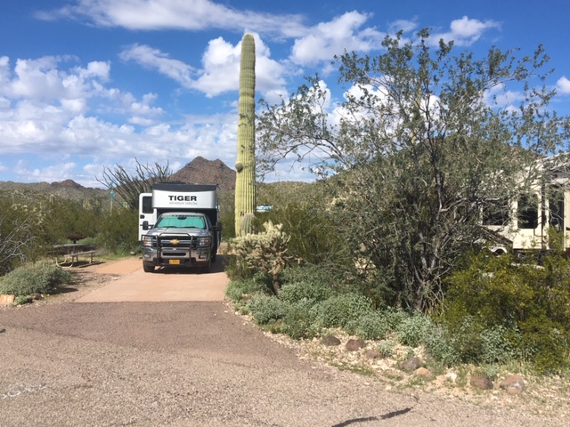 January 29, 2020 Organ Pipe Cactus NM