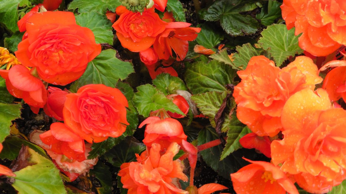 August 22, 2017 Anchorage AK