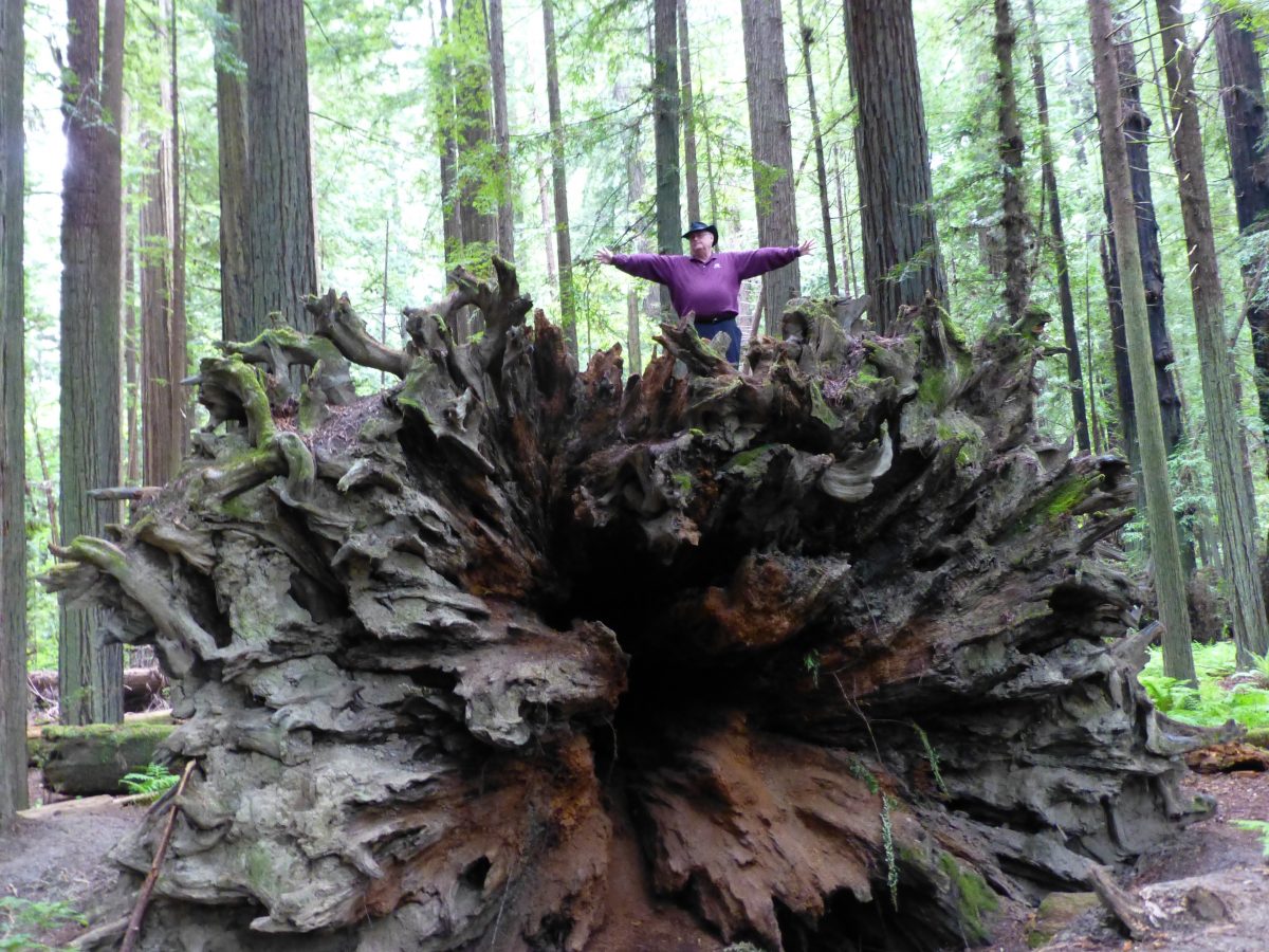 April 19, 2015                Ft. Bragg CA