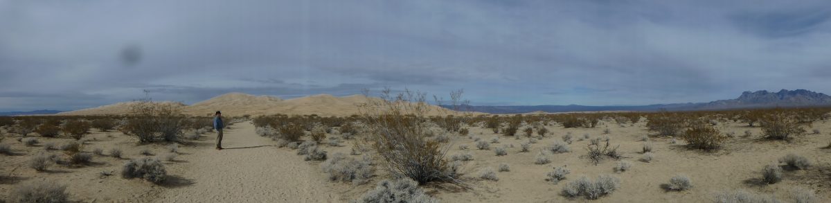 December 16, 2016 Mojave NP