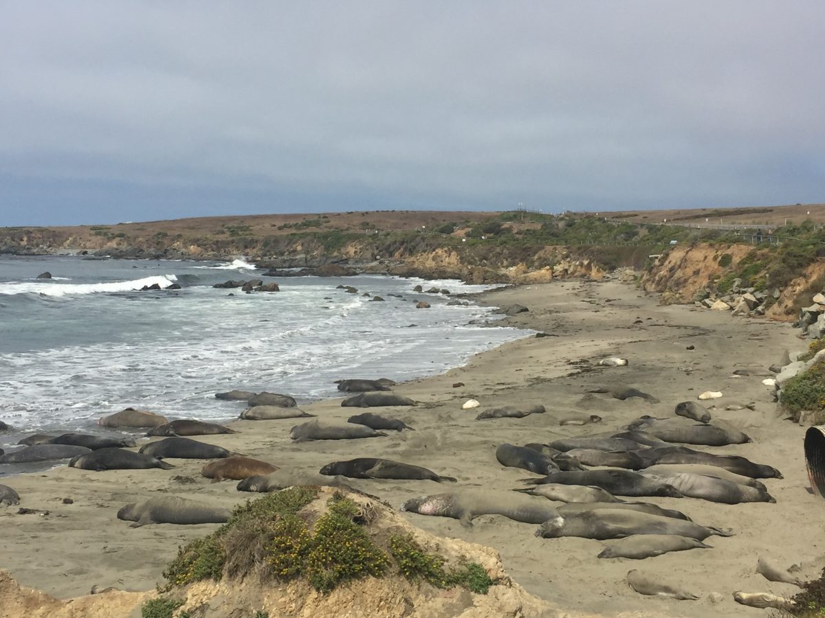 August 15, 2018         San Luis Obispo CA