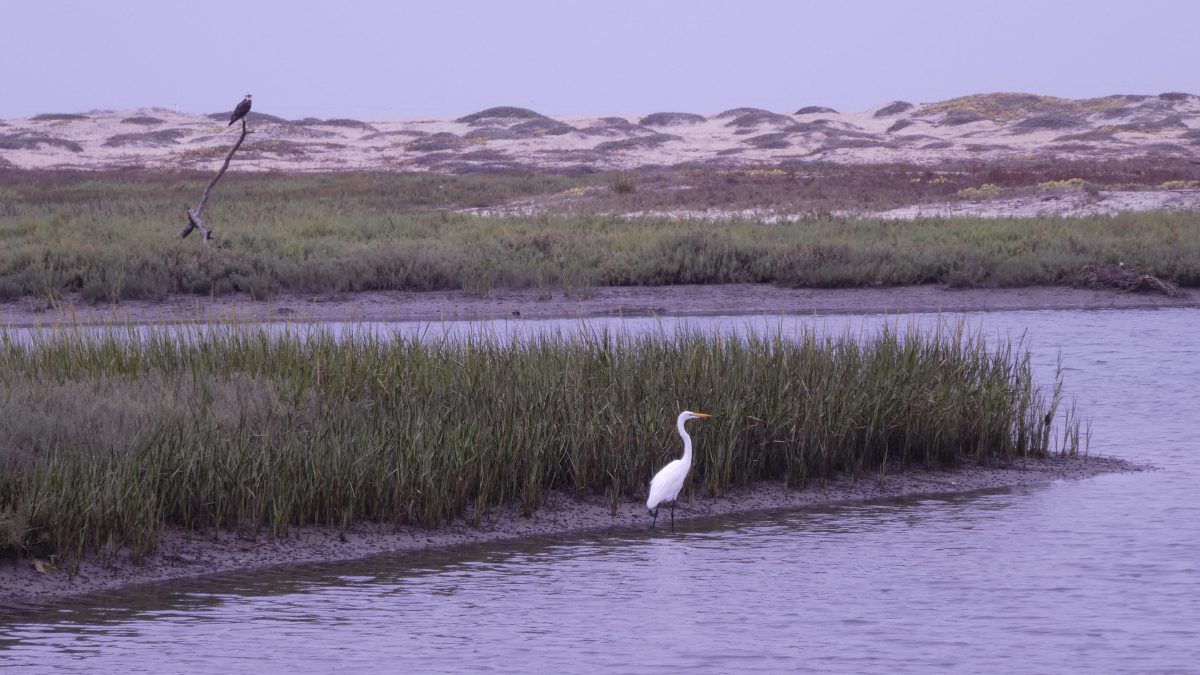 August 18, 2018           San Diego CA