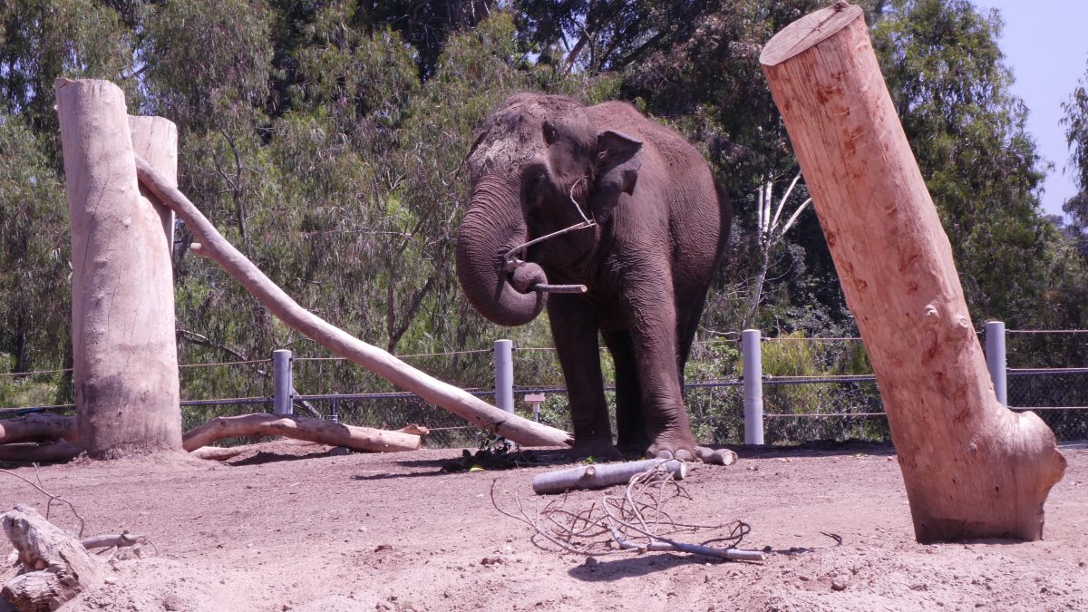 August 19, 2018           San Diego CA