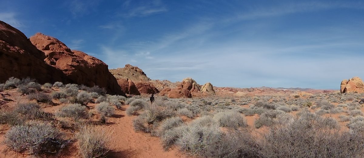 February 2, 2018          Las Vegas NV