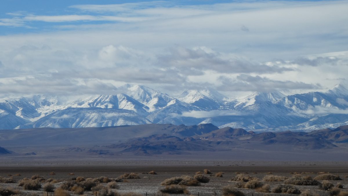 January 18, 2019          Las Vegas NV