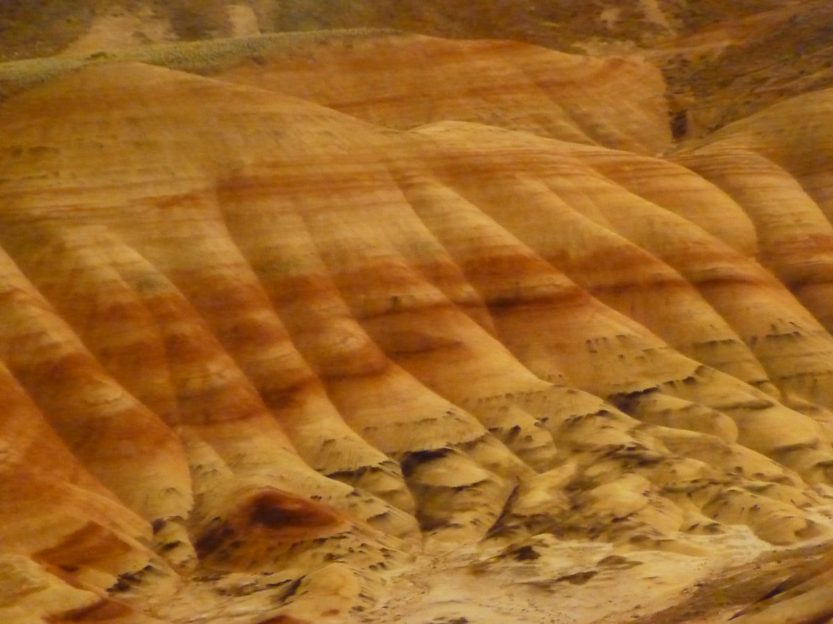 June 9, 2015       Ochocho Mountain OR