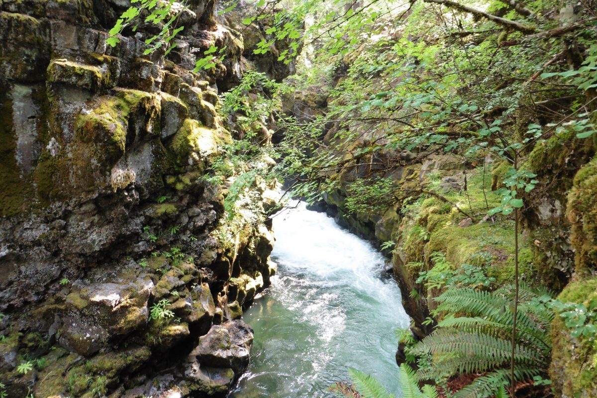 August 3, 2016         Burns OR