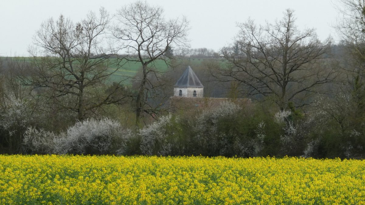 April 7, 2018     Vincelles FR