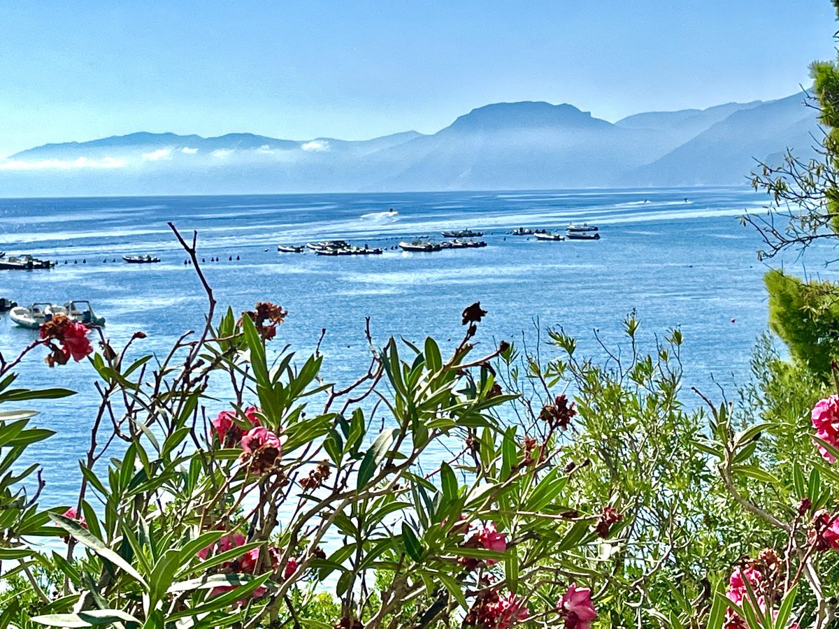 October 12, 2023 Orgosolo IT